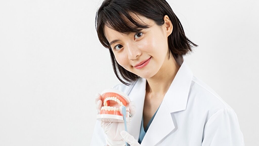 歯の模型を使って歯磨きの指導をする女性
