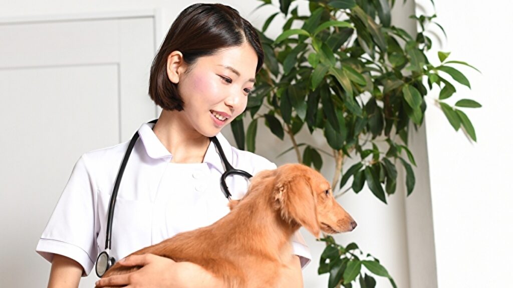 犬をかかえる女性の動物看護師