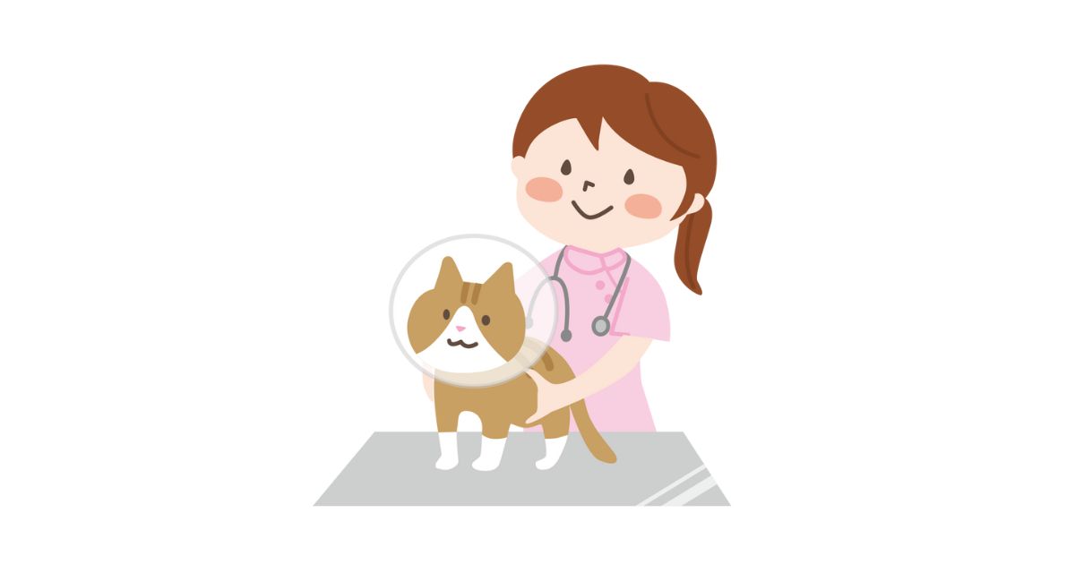 動物と女性看護師